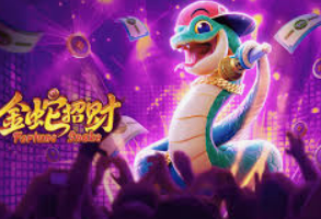 333体育2024最新版