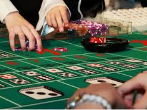 333体育电脑免费版